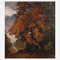 Herbstliche Baumgruppe111