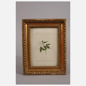 Drei kleine Biedermeierrahmen