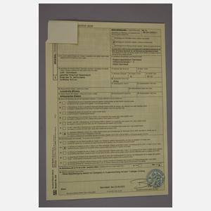 Spazierstock Elfenbein