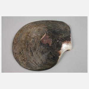 Zwei Muschelschnitzereien