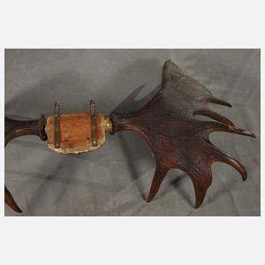 Imposante Jagdtrophäe