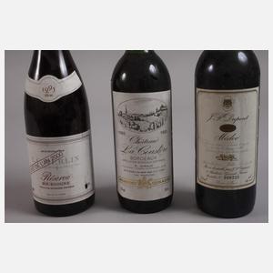 Zwölf Flaschen Rotwein