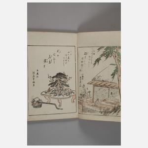 Buch mit Farbholzschnitten