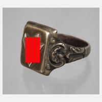 Sympathisantenring111