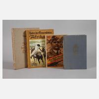 Konvolut Bücher 2. Weltkrieg111