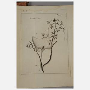 Œuvres de Charles Bonnet 1779