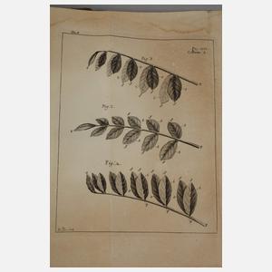 Œuvres de Charles Bonnet 1779