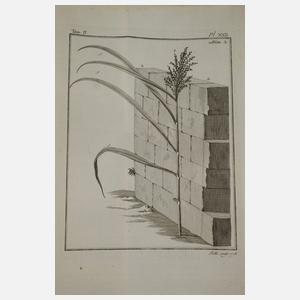 Œuvres de Charles Bonnet 1779