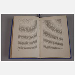 Der Ketzer von Soana