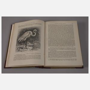 Brehms Tierleben 1912