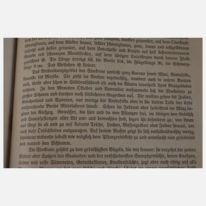 Brehms Tierleben 1912