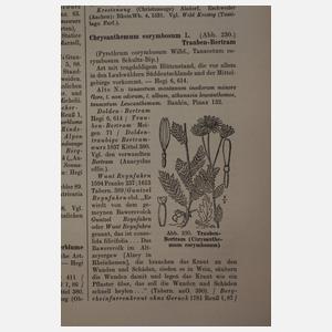 Wörterbuch der deutschen Pflanzennamen