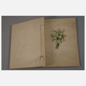 Schaefer-Ast, Kunterbunter Frühling