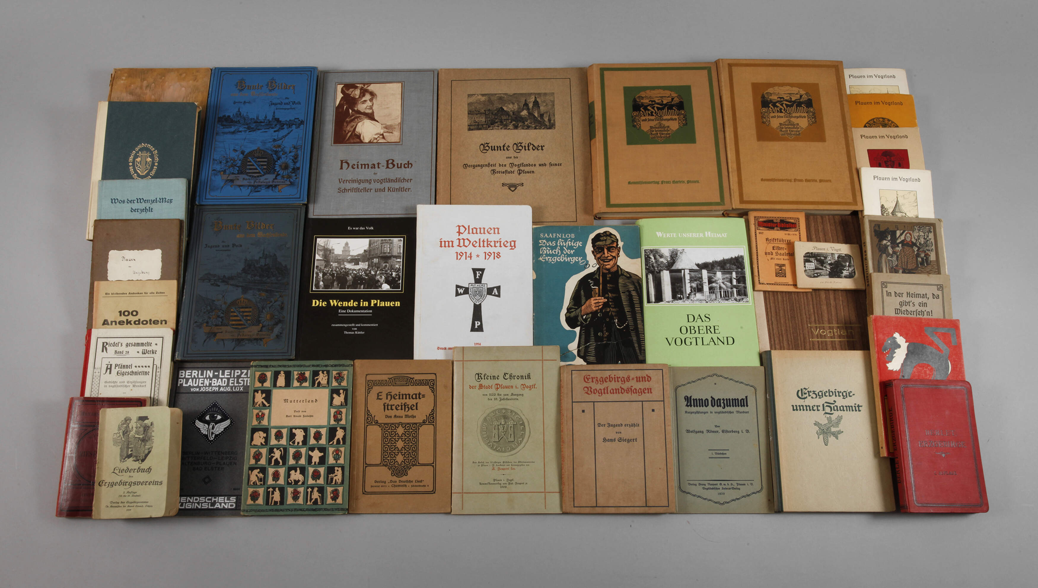 Konvolut Bücher Plauen und Vogtland