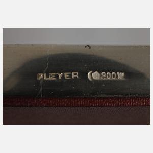 Foto Thurn & Taxis im Silberrahmen