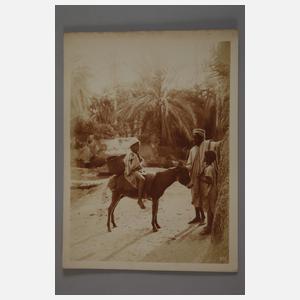 Drei Fotos Lehnert & Landrock, Tunis