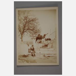 Drei Fotos Lehnert & Landrock, Tunis