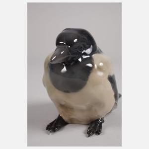 Rosenthal "Junge Elster"