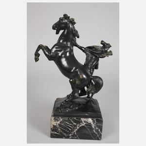 Carl Kauba, Pferdebändiger