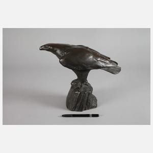 nach Willy Zügel, spähender Adler auf Fels
