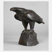 nach Willy Zügel, spähender Adler auf Fels111