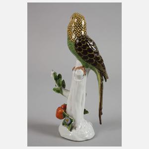 Alt-Wien Wellensittich