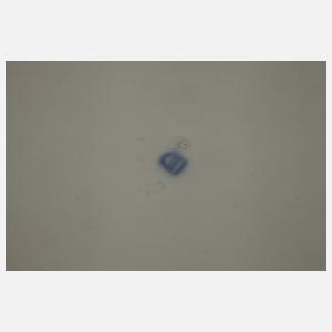 Alt-Wien Durchbruchteller Blumenkranzdekor