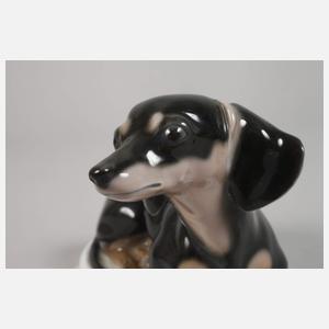 Heubach Lichte Dackel