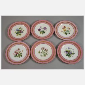 Mintons sechs Zierteller und Fußschale Blumenmalerei