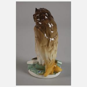 Nymphenburg Büchereule