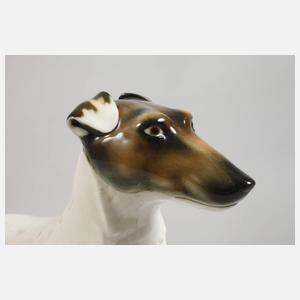 Passau Glatthaar-Foxterrier