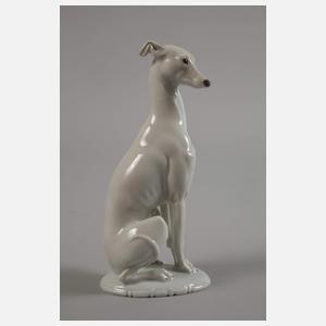 Rosenthal Windhund