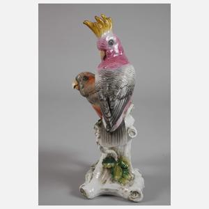 Thüringen Kakadugruppe