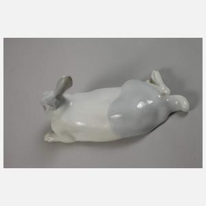 Thüringen liegendes Kaninchen