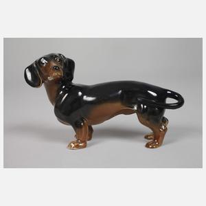 Volkstedt stehender Dackel