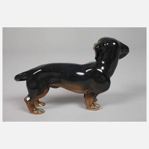 Volkstedt stehender Dackel