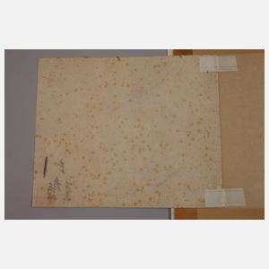 Hendrick Goltzius, Portrait eines Mannes mit Hut