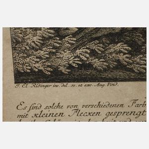 Johann Elias Ridinger, Konvolut Jagddarstellungen
