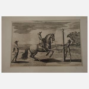 Peter Troschel, Blätter zur Reitschule