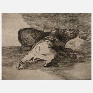 Francisco de Goya, "Algun partido saca"