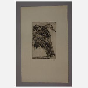 Horst Janssen, "Knochen eines Vereinsmitglieds"