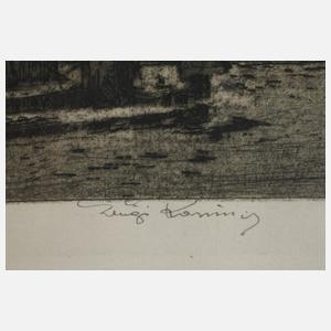 Prof. Luigi Kasimir, Ansicht Wien