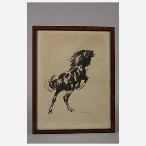 Prof. Walter Klemm, Steigender Hengst