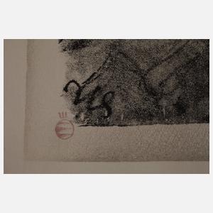 Prof. Andreas Paul Weber, Graphikkonvolut