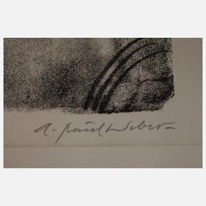 Prof. Andreas Paul Weber, Graphikkonvolut