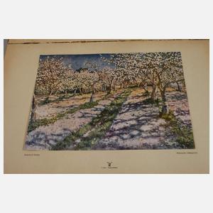 Nikolaj Bogdanoff-Belsky, Bildband und Foto