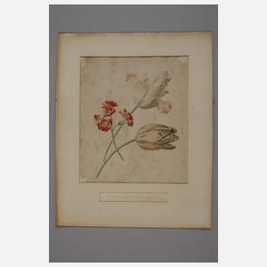 Albertus Jonas Brandt, attr., Frühlingsblumen