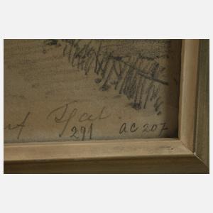 "Böckstein gegen das Anlauf-Thal"