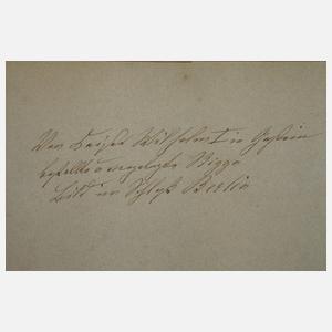 "Böckstein gegen das Anlauf-Thal"