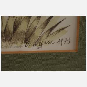 Anton Krejcar, "Traumvogel"